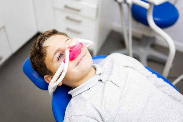 Professional  Dental Services in Lily Lake, IL